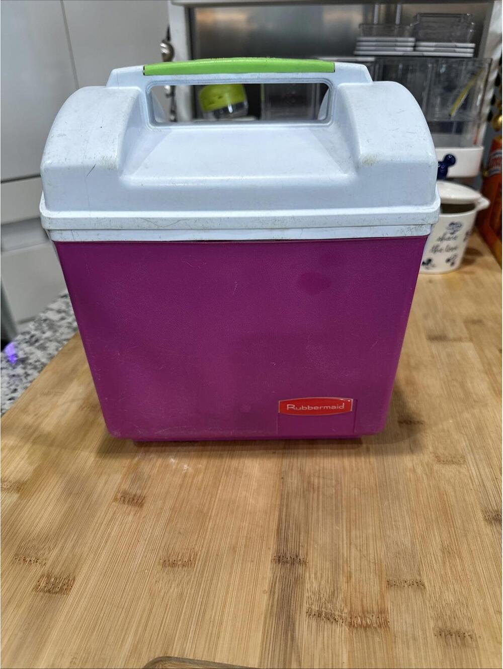 Vintage RUBBERMAID SIDEKICK PINK Green Lunch Box Cooler Ice Chest 6 Pack